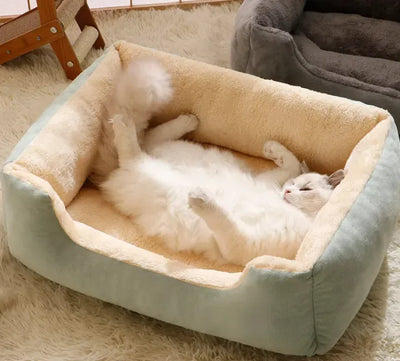 Paw-some Essentials